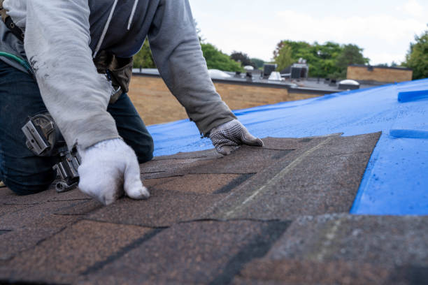 Best Emergency Roof Repair  in Le Roy, IL